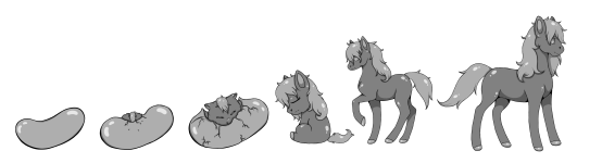 Pony Bean Stages.png